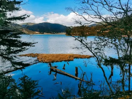 77spins  Casino Mobile App